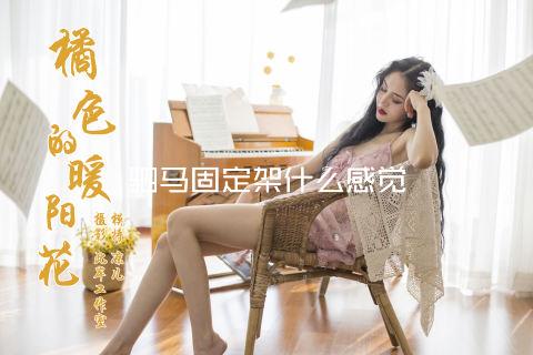 驷马固定架什么感觉